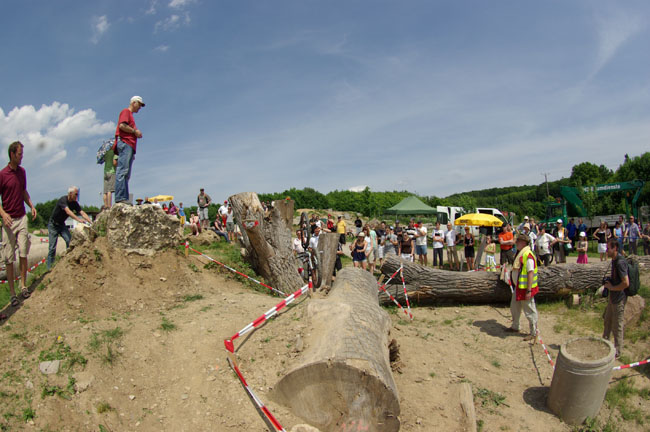 IMGP4717