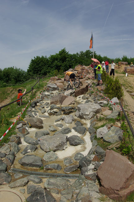IMGP4512